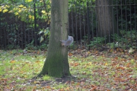 2012-11-01-londra-160