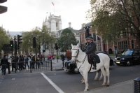2012-11-01-londra-270