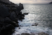 IMG_6088_ridimensionare