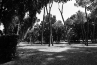 2013 06 06_09 6912 Roma