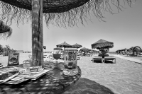 IMG_7608