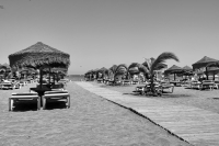 IMG_7618