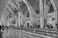 IMG_7780