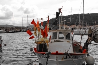 2014 03 24 sv_pula 037