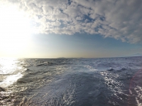DCIM101GOPRO