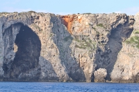 2014 03 24 sv_pula 061