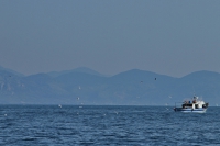 2014 03 24 sv_pula 086