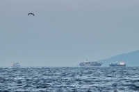 2014 03 24 sv_pula 108