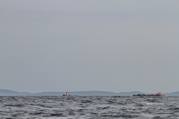 2014 03 24 sv_pula 159