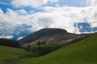 2016-11-03 2674 NZ .CR2