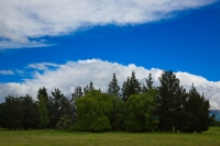 2016-11-16 3001 NZ .CR2