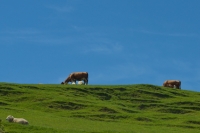 2016-11-18 3042 NZ .CR2
